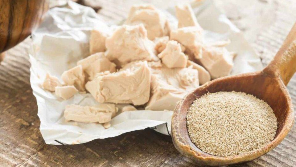 Tipi di lievito e come usarli | Trucchi e segreti per impasti perfetti
