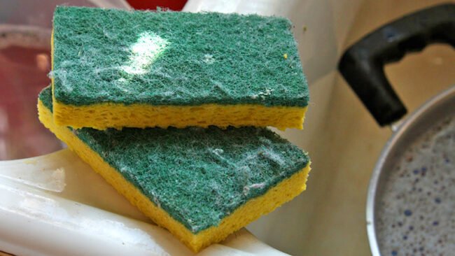Vecchie spugne: 10 trucchi geniali per riutilizzarle