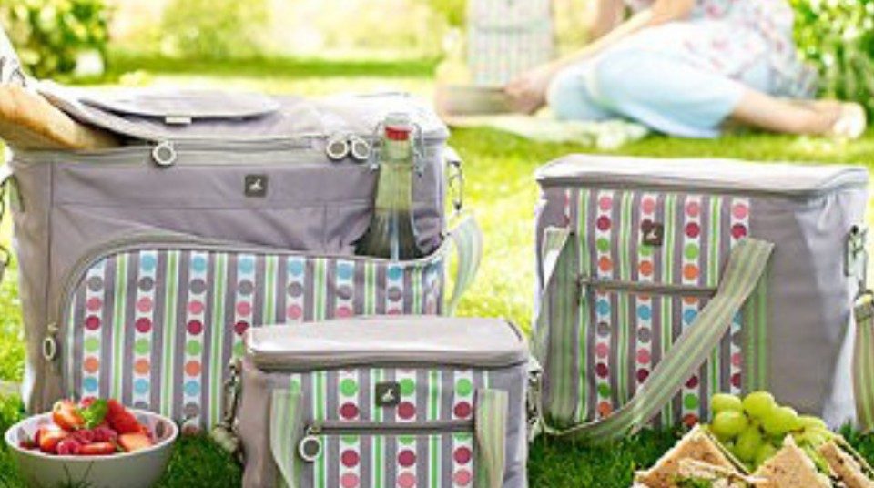 Borsa frigo: 3 metodi naturali per pulirla in modo efficace