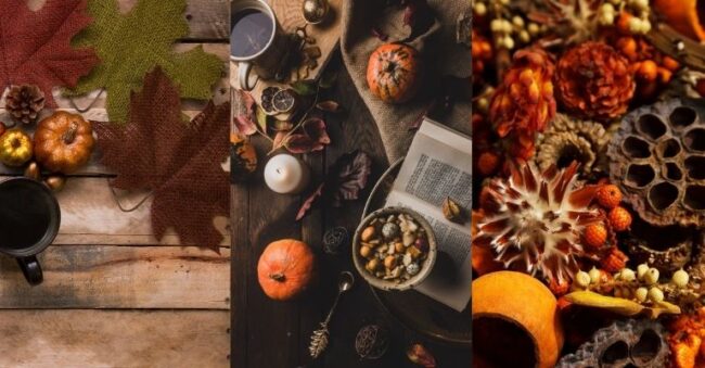 Decorare casa in autunno: come farlo con gli elementi della natura