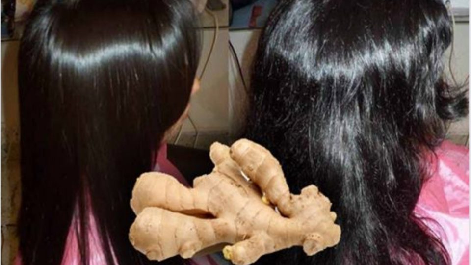 Lo zenzero rimuove l’effetto crespo dai capelli e li fa crescere sani e voluminosi