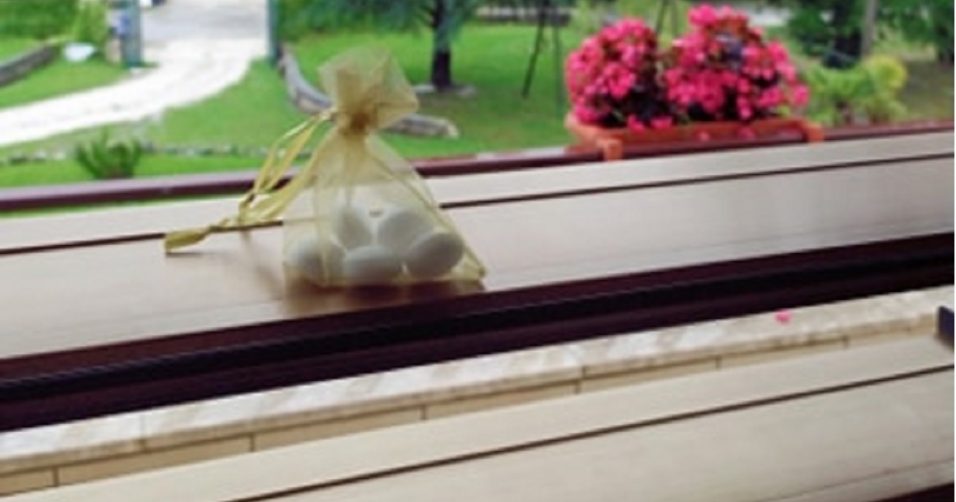Basta un sacchetto di Naftalina sulle finestre per allontanare vari insetti da casa