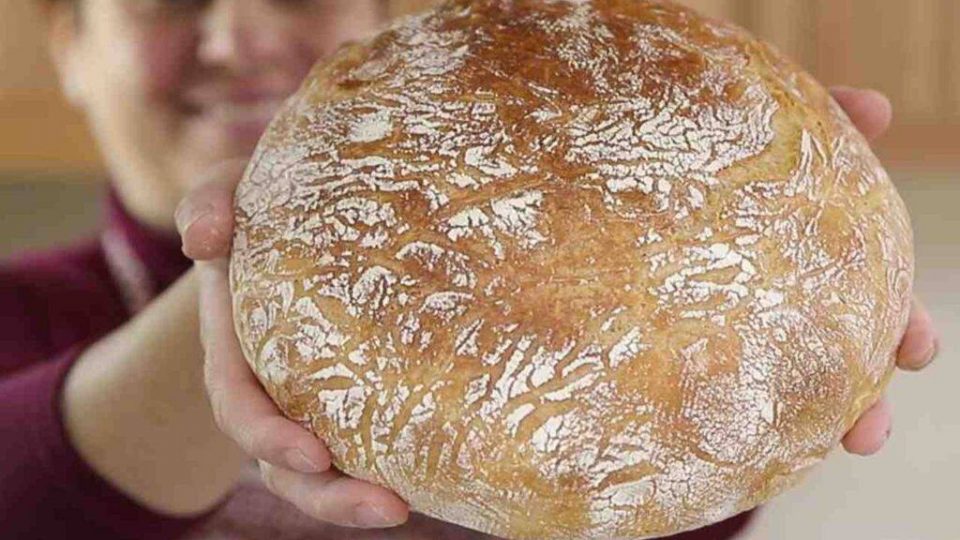 Pane comodo di Benedetta Rossi | La ricetta più facile che ci sia!