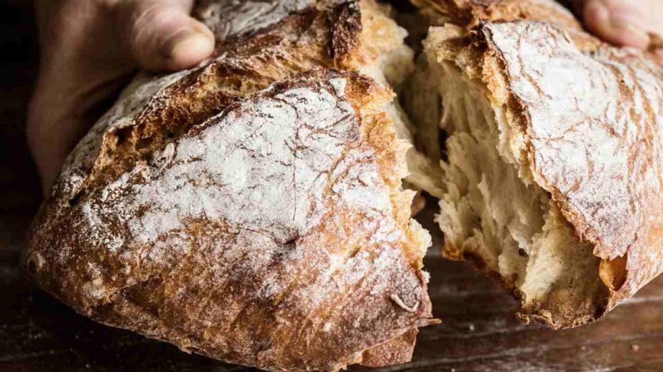 Pane di semola | Prodotto da forno a lunga lievitazione